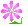 bible flower